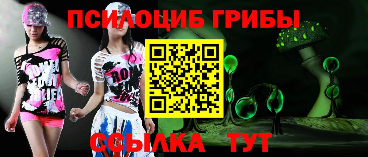 Кострома  где купить наркоту  Вход с VPN  Псилоцибиновые грибы GOLDEN TEACHER 