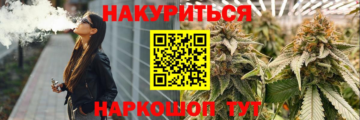 Бошки Шишки план Кострома